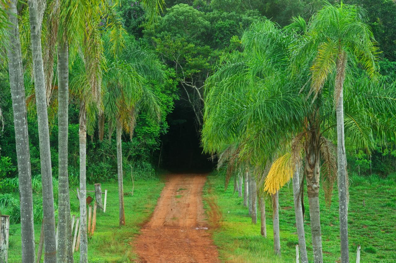La Mision Mocona - Lodge De Selva Saltos del Moconá エクステリア 写真