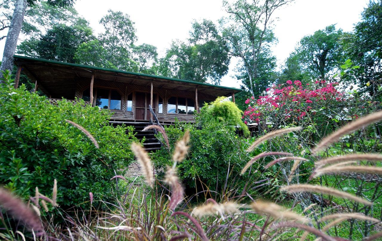 La Mision Mocona - Lodge De Selva Saltos del Moconá 部屋 写真