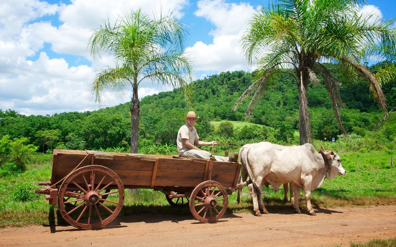 La Mision Mocona - Lodge De Selva Saltos del Moconá エクステリア 写真
