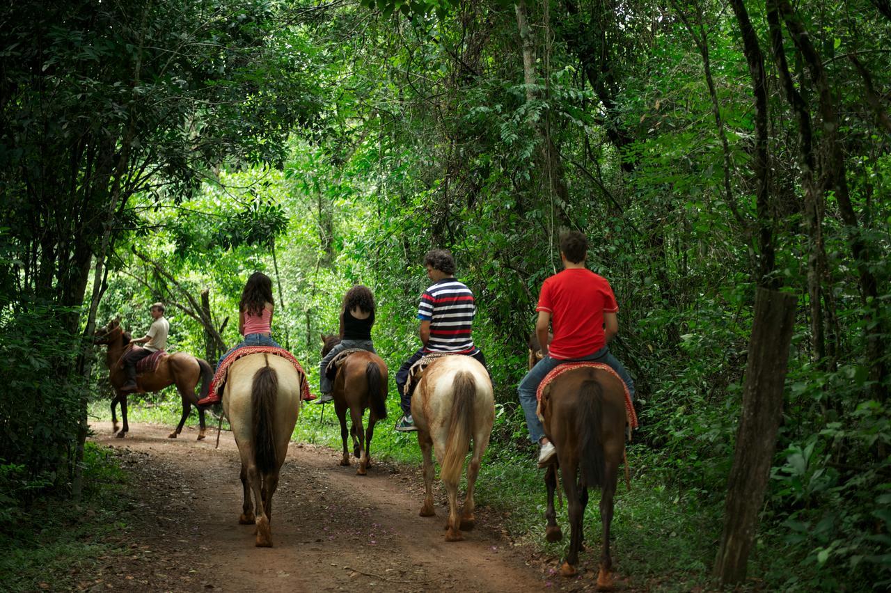 La Mision Mocona - Lodge De Selva Saltos del Moconá エクステリア 写真