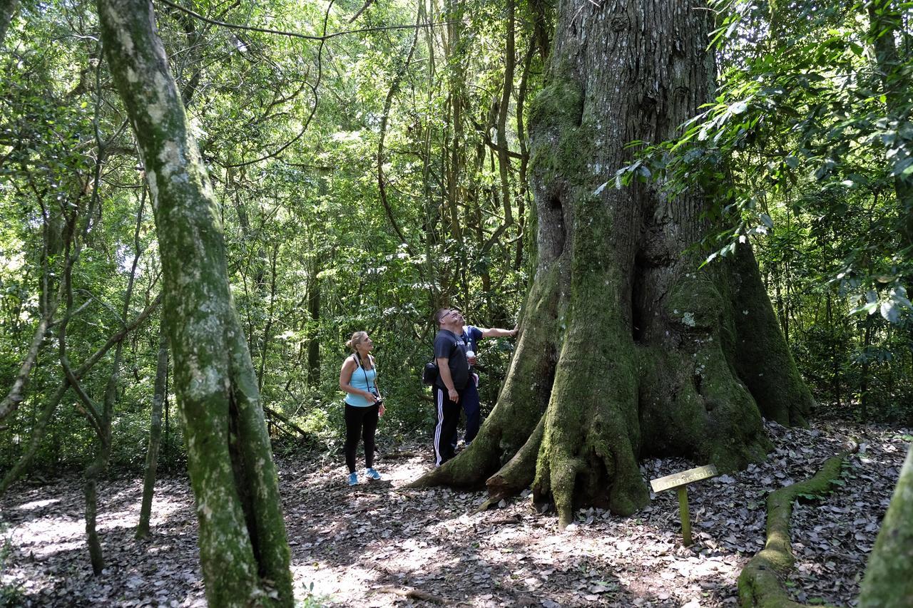 La Mision Mocona - Lodge De Selva Saltos del Moconá エクステリア 写真