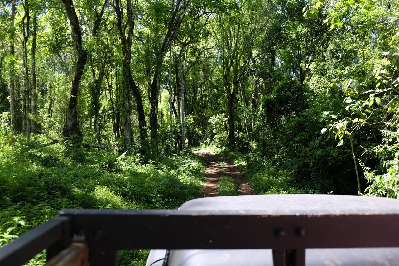 La Mision Mocona - Lodge De Selva Saltos del Moconá エクステリア 写真