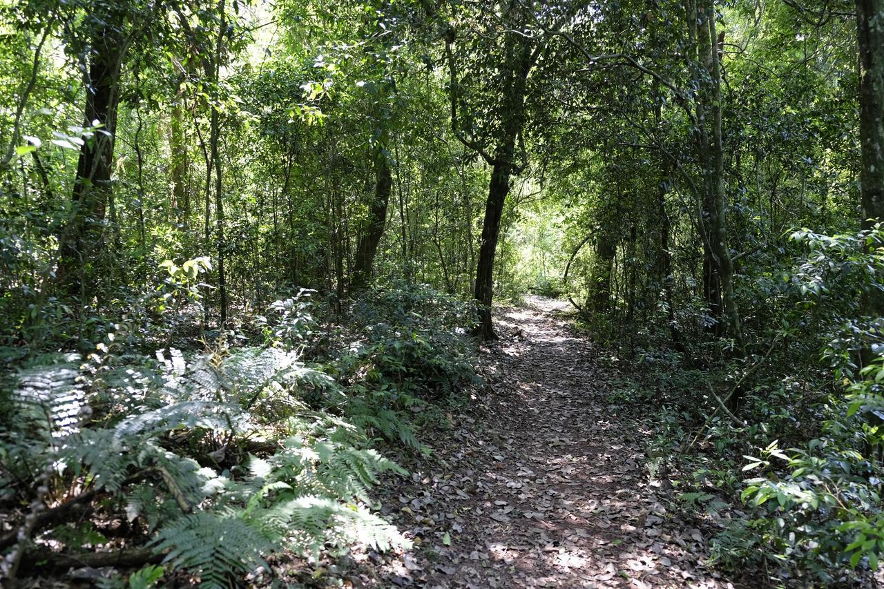 La Mision Mocona - Lodge De Selva Saltos del Moconá エクステリア 写真